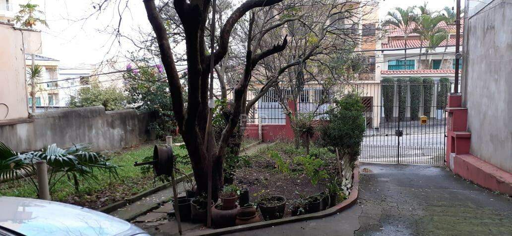 Terreno, 500 m² - Foto 4
