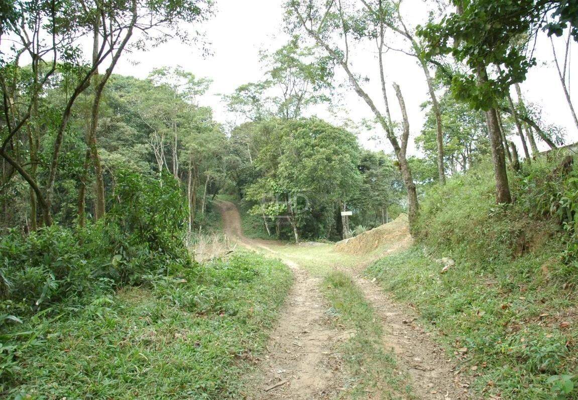 Terreno, 8 hectares - Foto 2