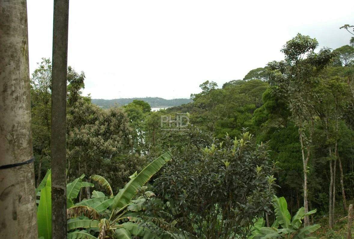 Terreno, 8 hectares - Foto 11