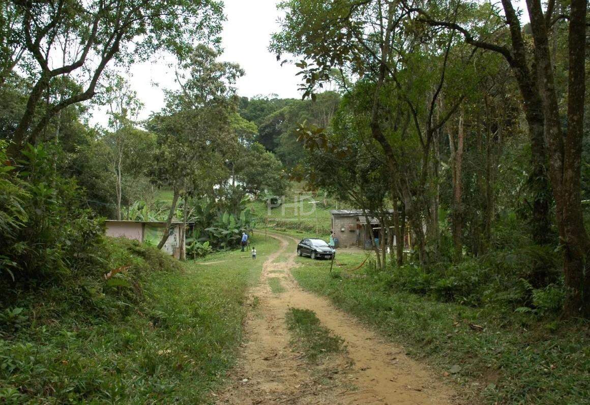 Terreno, 8 hectares - Foto 3