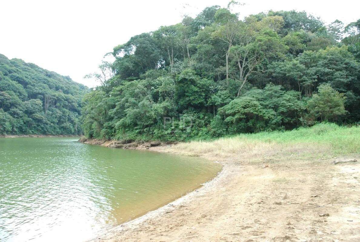 Terreno, 8 hectares - Foto 6