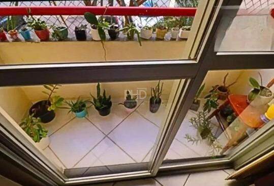 Apartamento, 3 quartos, 73 m² - Foto 2
