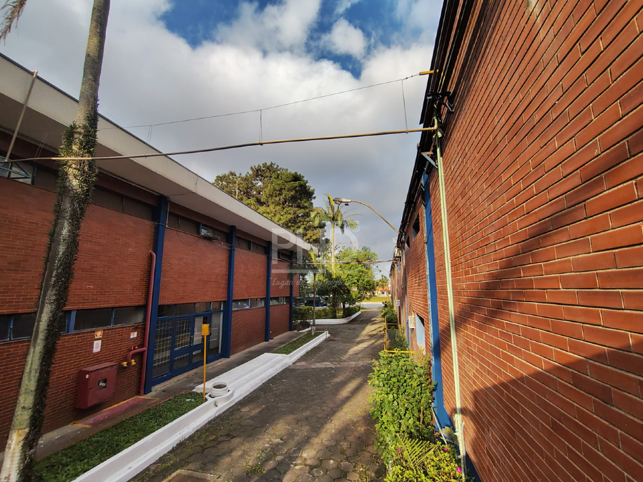 Depósito-Galpão, 7700 m² - Foto 9