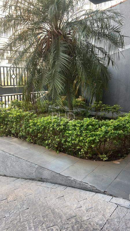 Apartamento, 3 quartos, 75 m² - Foto 25