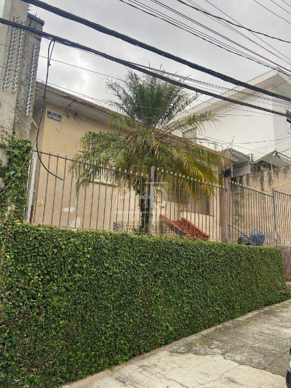 Terreno, 250 m² - Foto 2