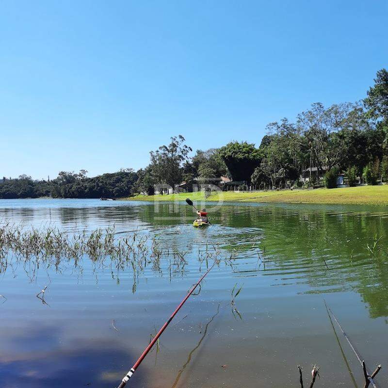 Terreno, 3 hectares - Foto 4