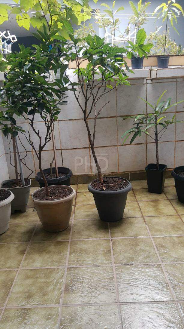 Sobrado para alugar com 3 quartos, 170m² - Foto 26