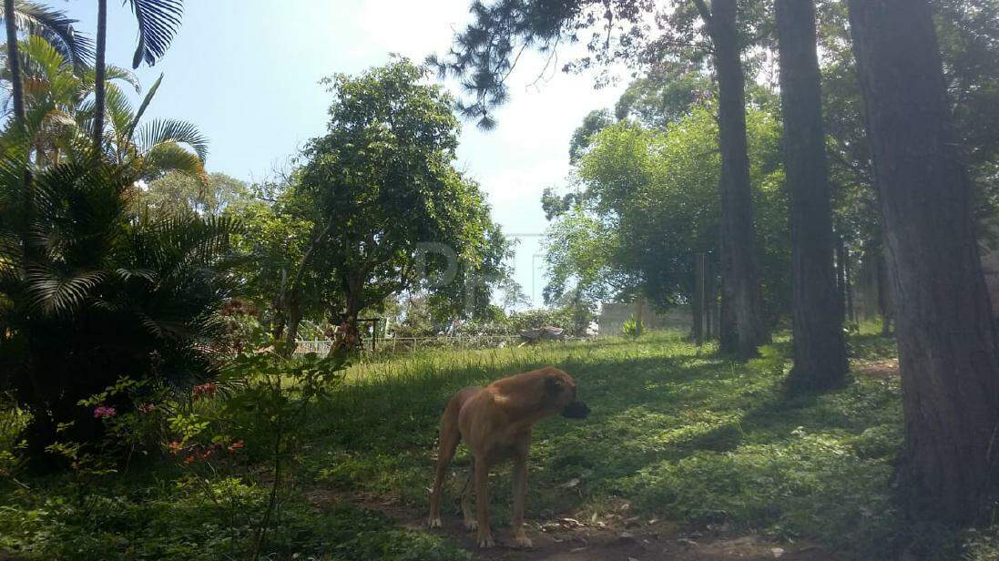 Fazenda à venda com 4 quartos, 3050m² - Foto 11