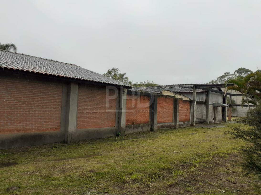 Fazenda à venda com 3 quartos, 5227m² - Foto 4