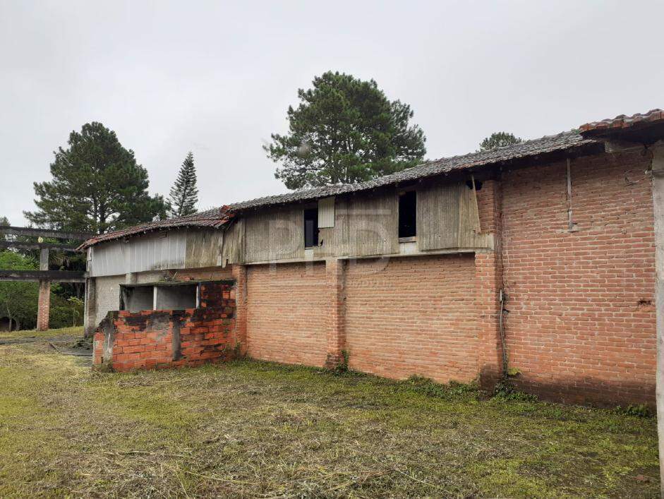 Fazenda à venda com 3 quartos, 5227m² - Foto 5