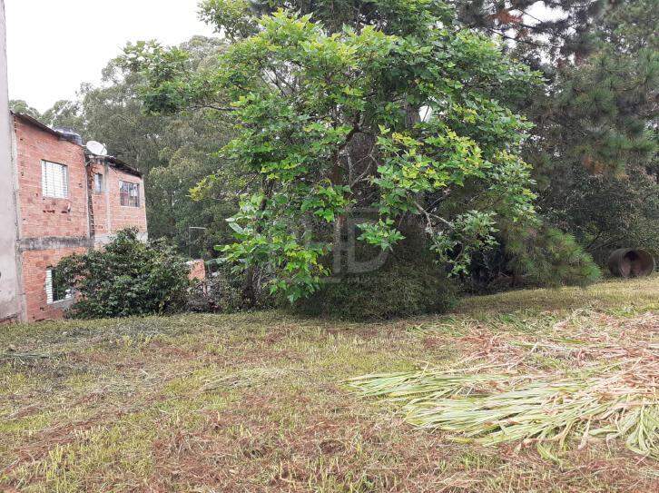 Fazenda à venda com 3 quartos, 5227m² - Foto 6