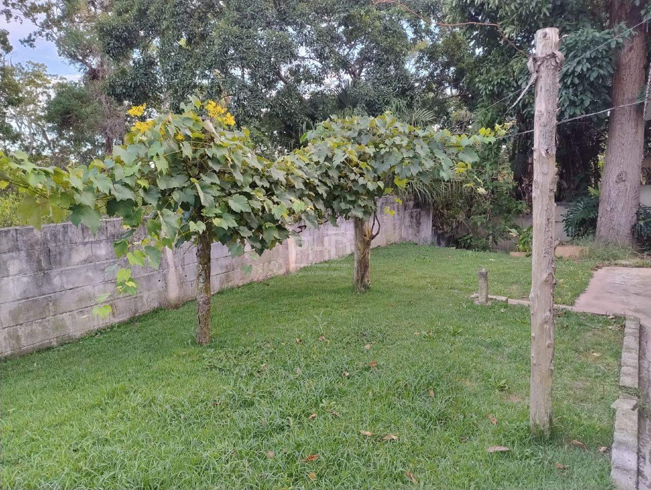 Sítio, 3 quartos, 1980 m² - Foto 18