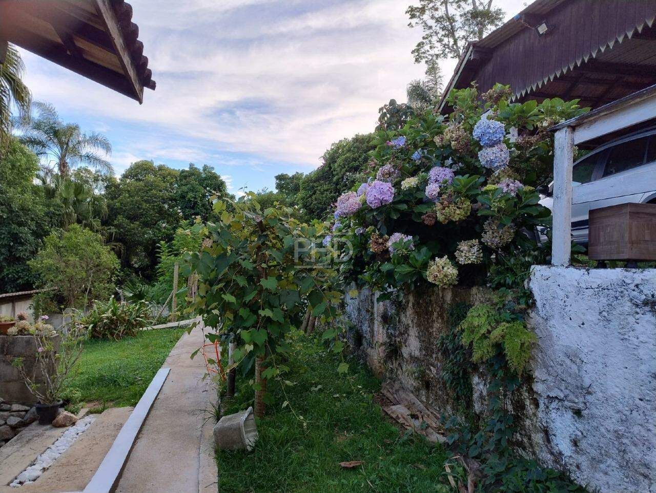 Sítio, 3 quartos, 1980 m² - Foto 22