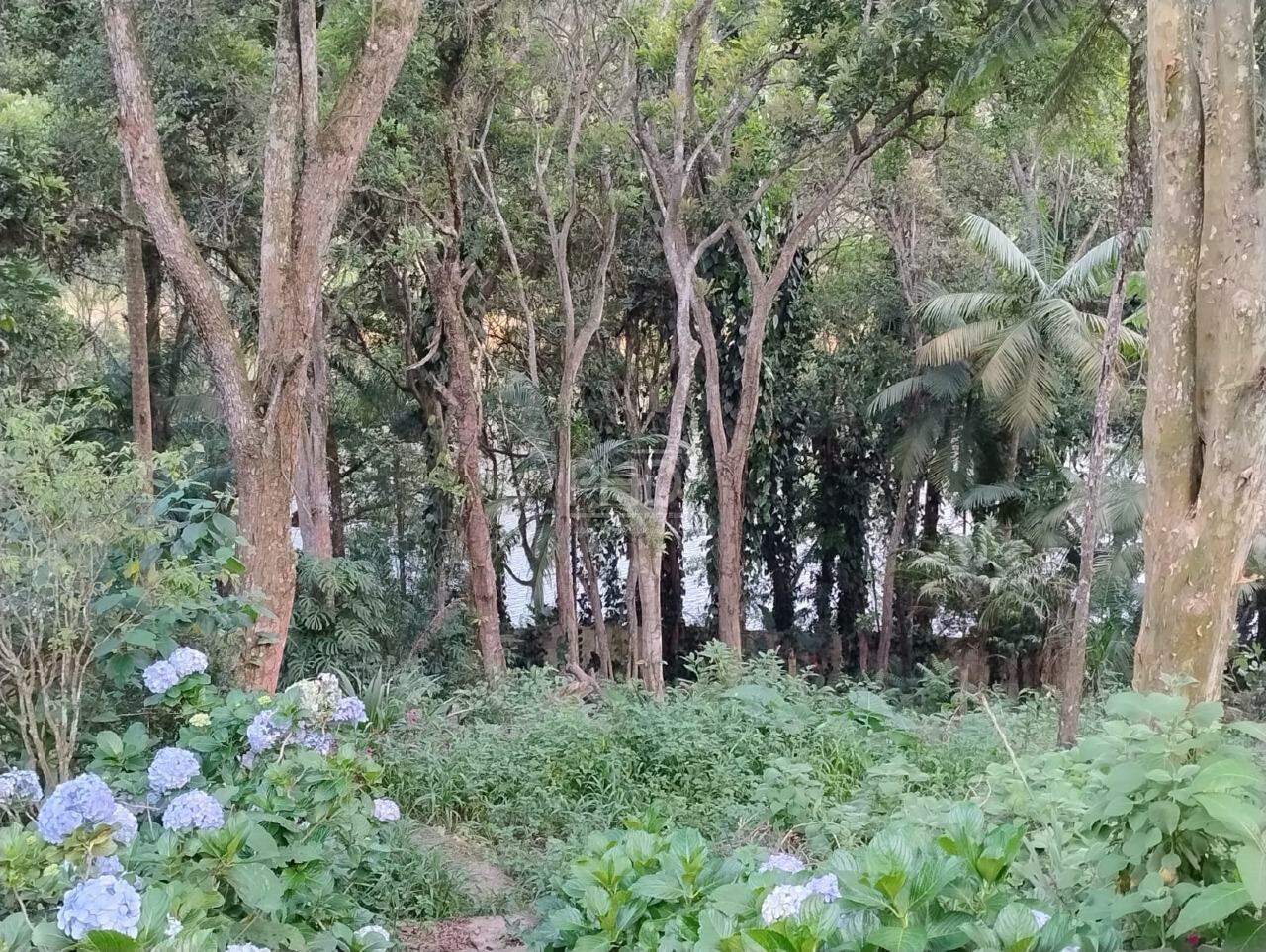 Sítio, 3 quartos, 1980 m² - Foto 19