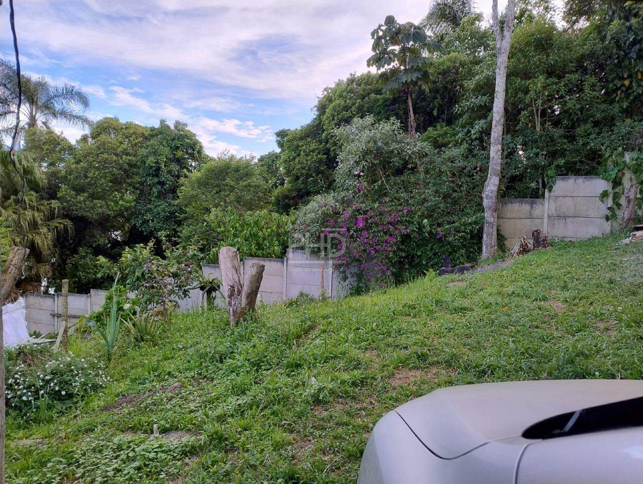 Sítio, 3 quartos, 1980 m² - Foto 11