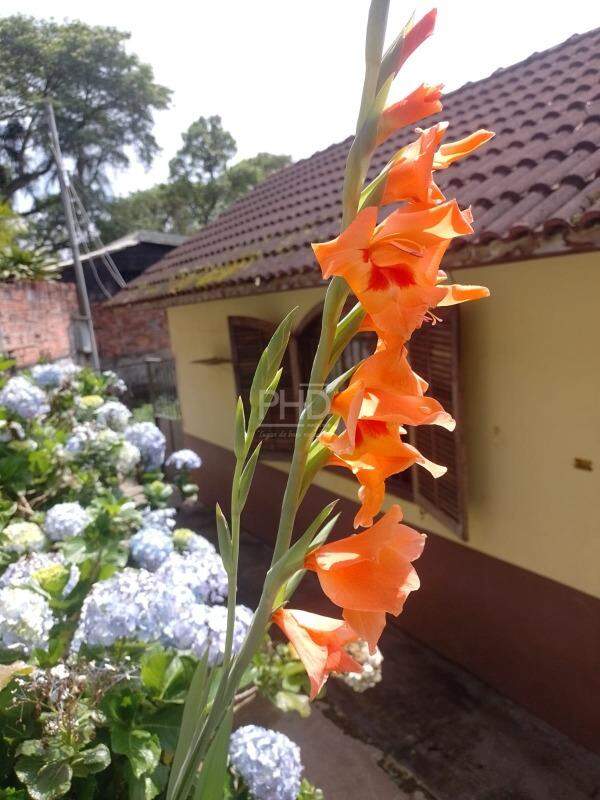 Sítio, 3 quartos, 1980 m² - Foto 13