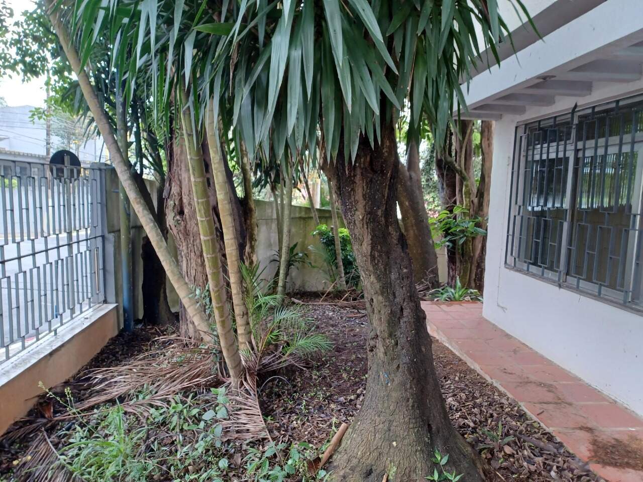 Sobrado à venda com 3 quartos, 311m² - Foto 18