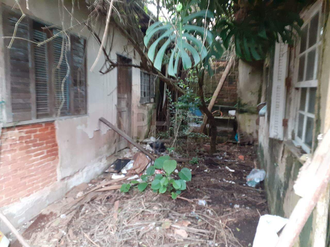 Terreno, 489 m² - Foto 5