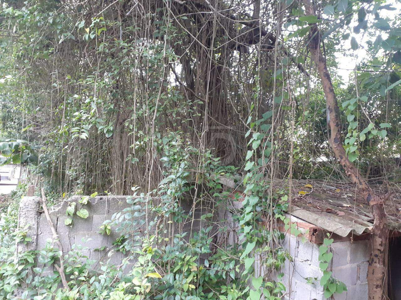 Terreno, 489 m² - Foto 6
