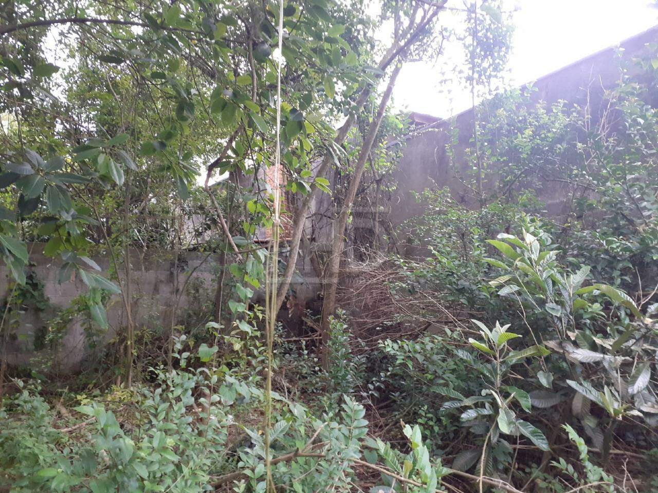 Terreno, 489 m² - Foto 11