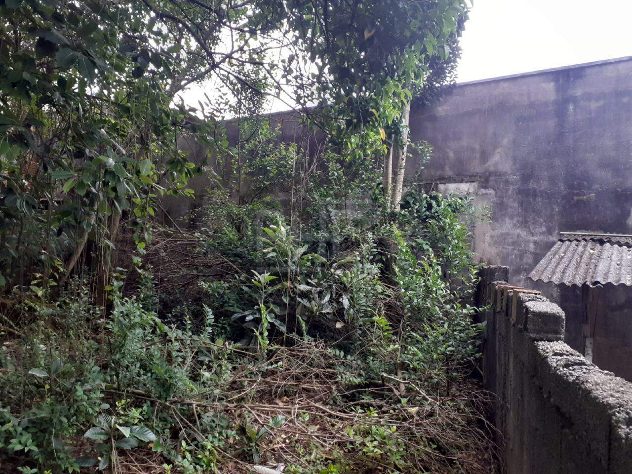 Terreno, 489 m² - Foto 10