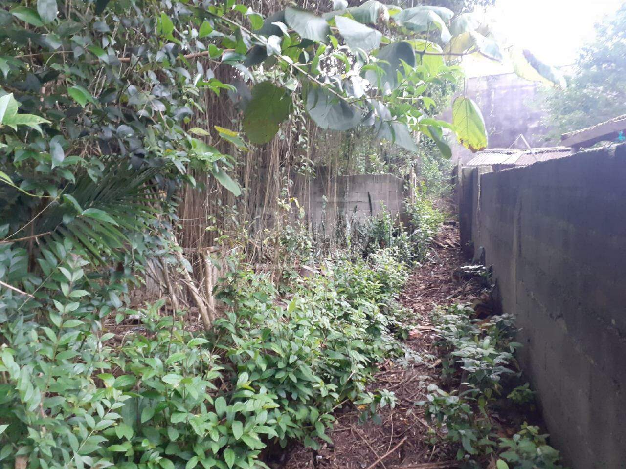 Terreno, 489 m² - Foto 9
