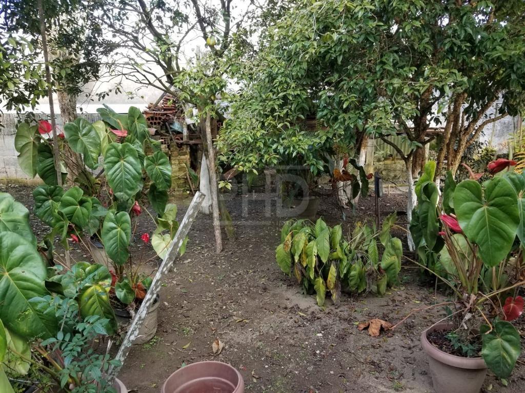 Casa, 3 quartos, 219 m² - Foto 21