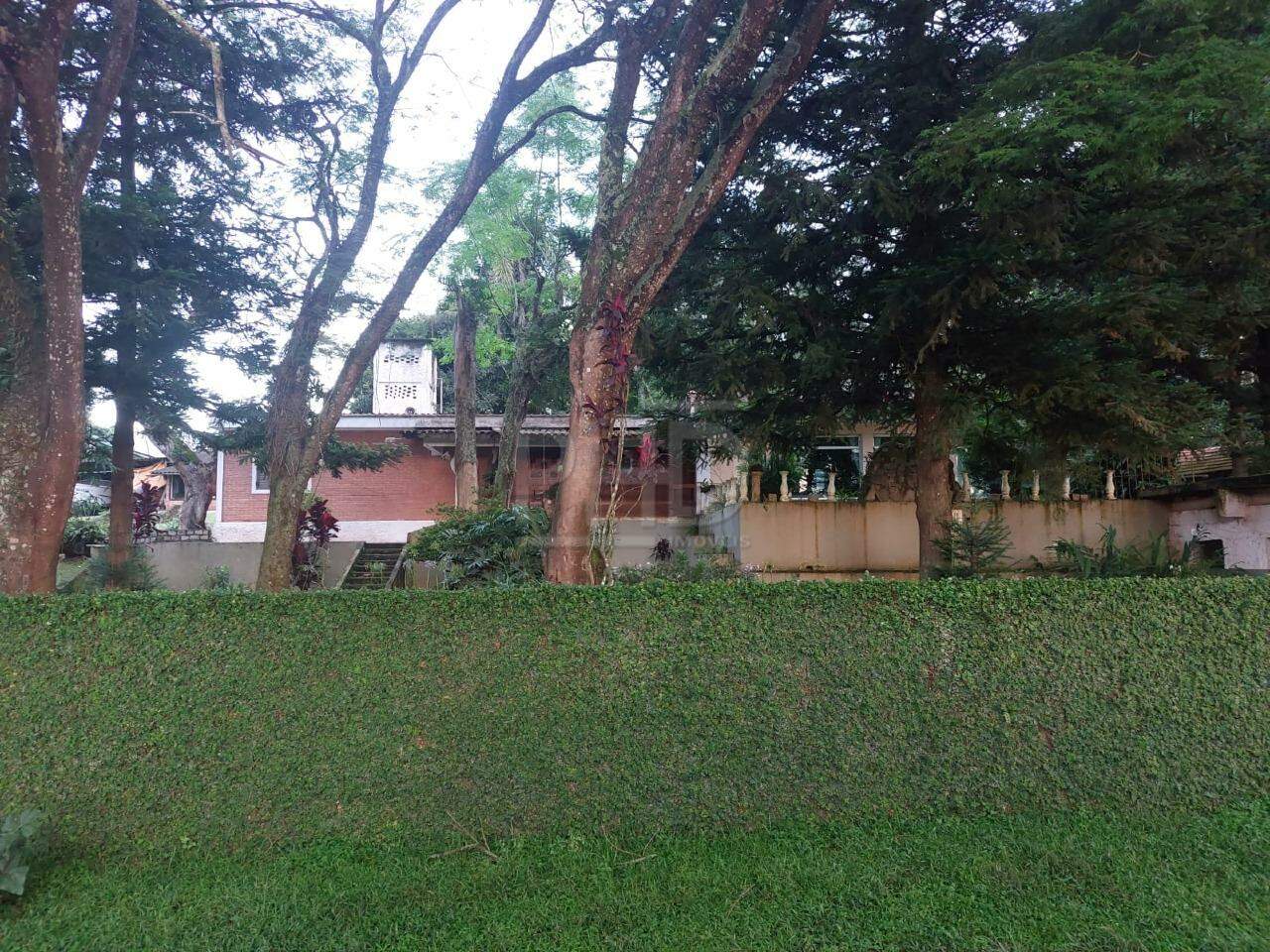 Fazenda à venda com 3 quartos, 500m² - Foto 12