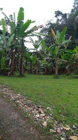 Fazenda à venda com 4 quartos, 330m² - Foto 18