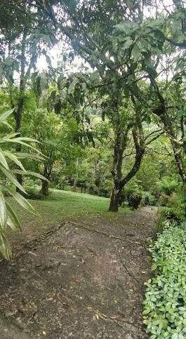 Fazenda à venda com 4 quartos, 330m² - Foto 20