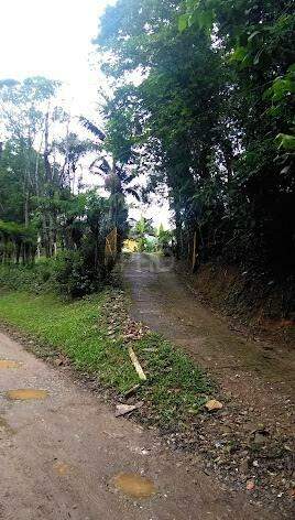 Fazenda à venda com 4 quartos, 330m² - Foto 17