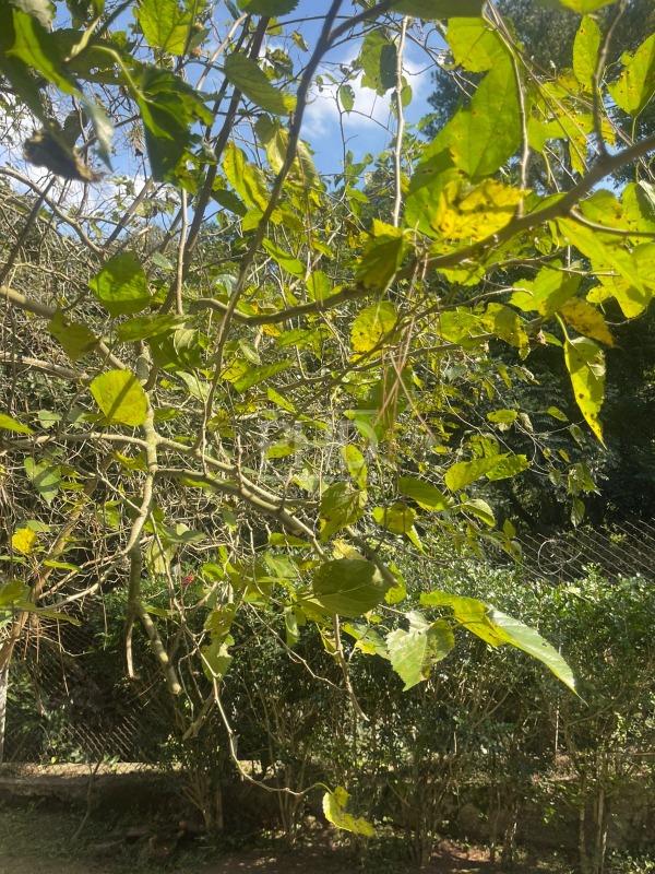 Casa de Condomínio, 3 quartos - Foto 40