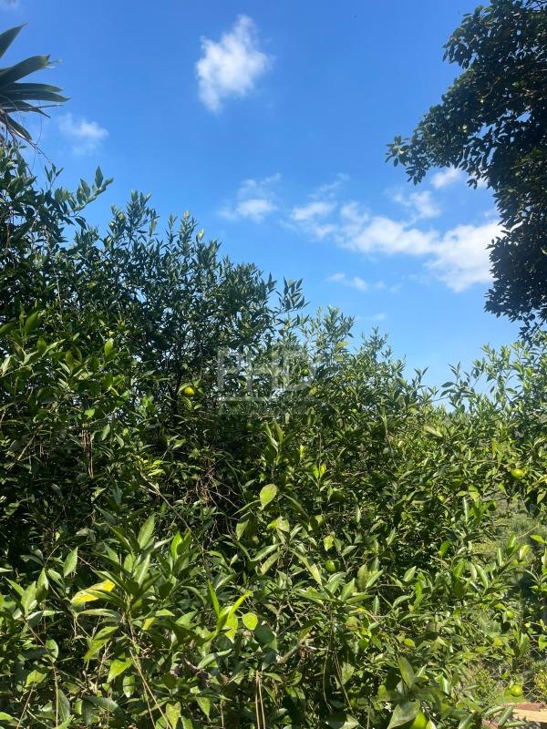 Casa de Condomínio, 3 quartos - Foto 42