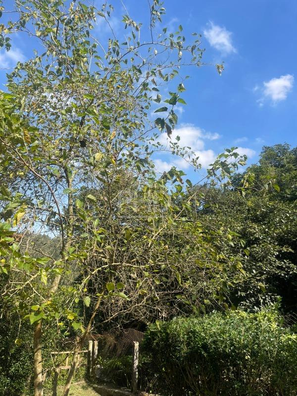 Casa de Condomínio, 3 quartos - Foto 41