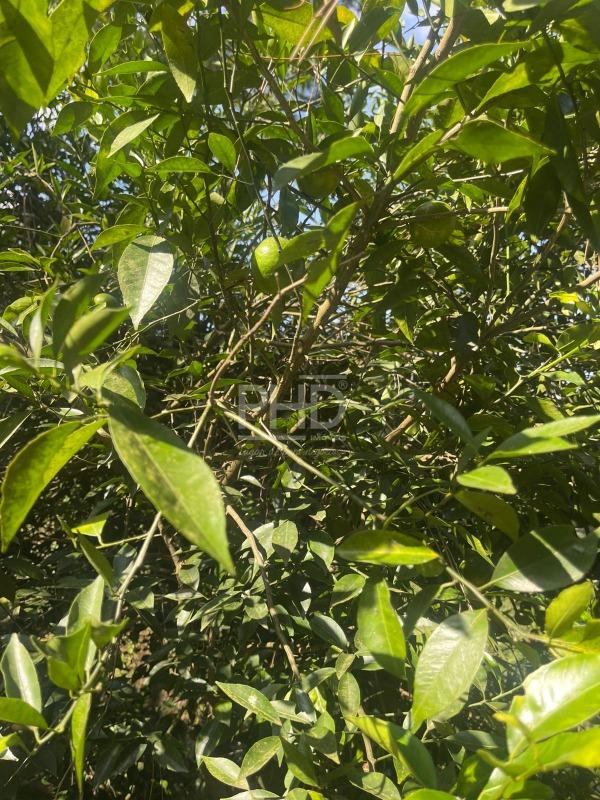 Casa de Condomínio, 3 quartos - Foto 38