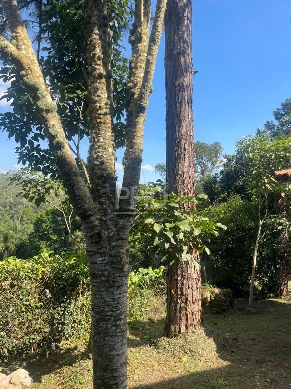 Casa de Condomínio, 3 quartos - Foto 35