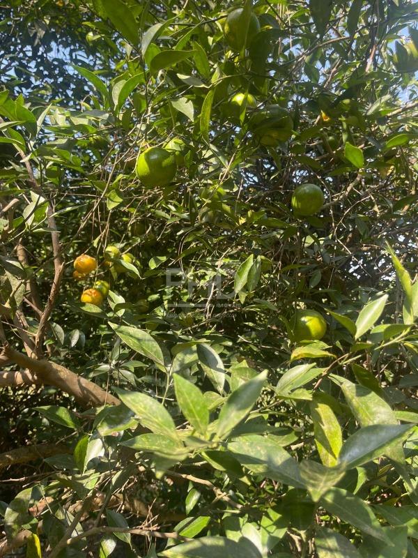 Casa de Condomínio, 3 quartos - Foto 36