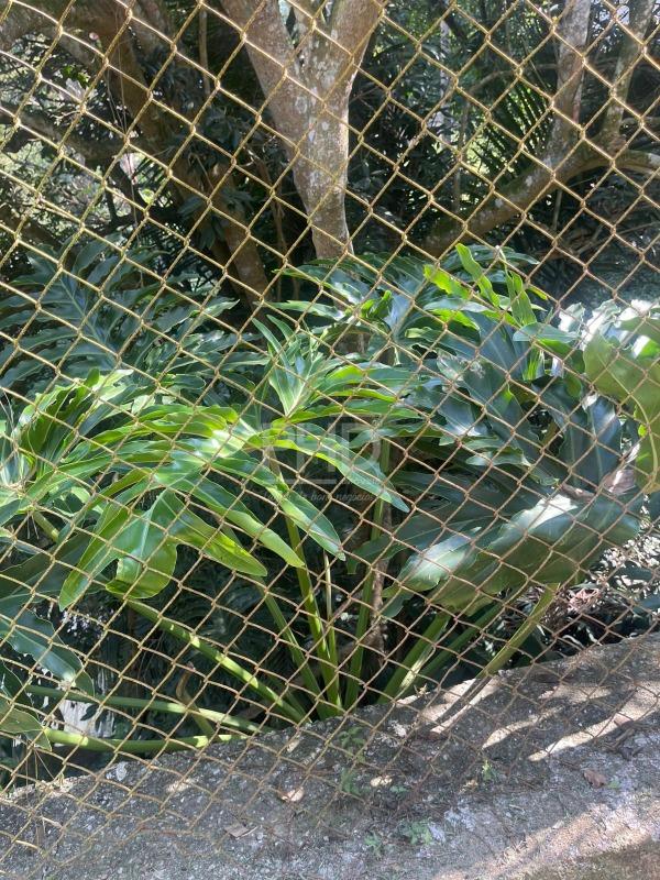 Casa de Condomínio, 3 quartos - Foto 37