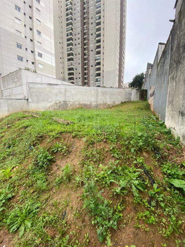 Terreno para alugar, 532m² - Foto 3