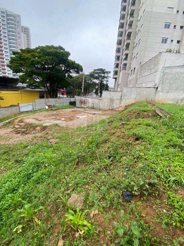 Terreno para alugar, 532m² - Foto 5