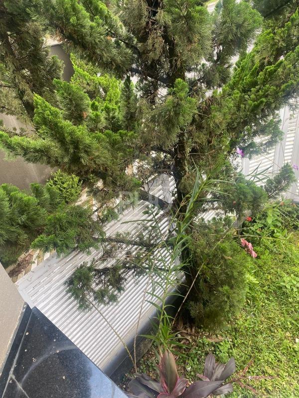 Sobrado, 3 quartos, 338 m² - Foto 33