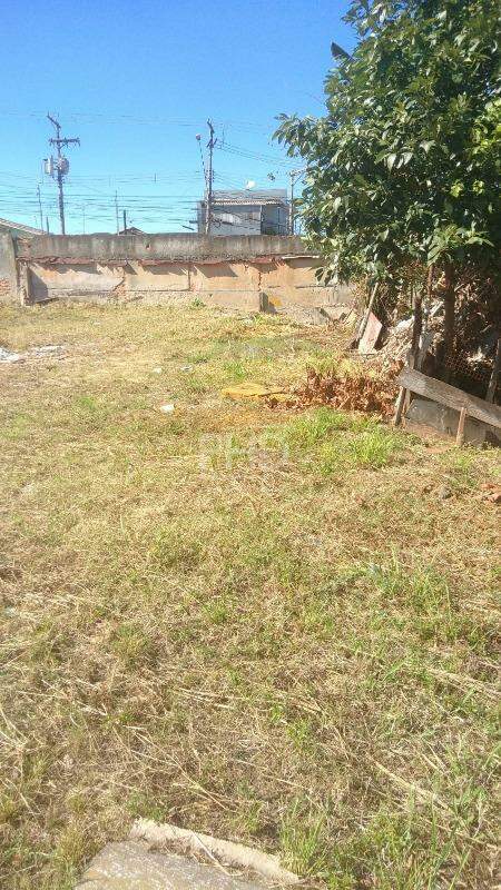 Terreno para alugar, 2360m² - Foto 4