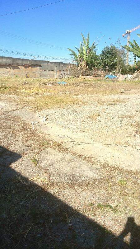 Terreno para alugar, 2360m² - Foto 1