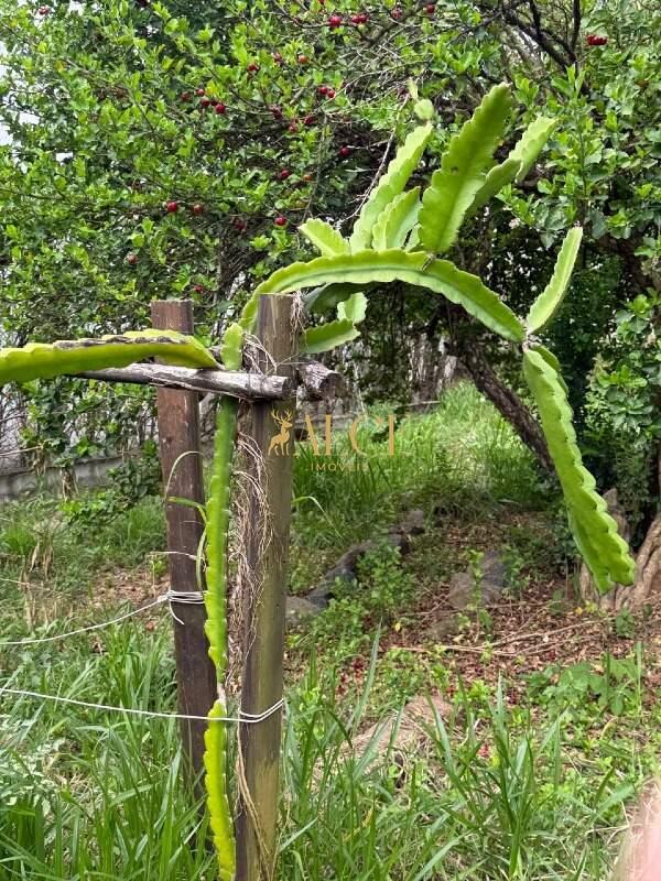 Terreno à venda Terras de Itaici: 
