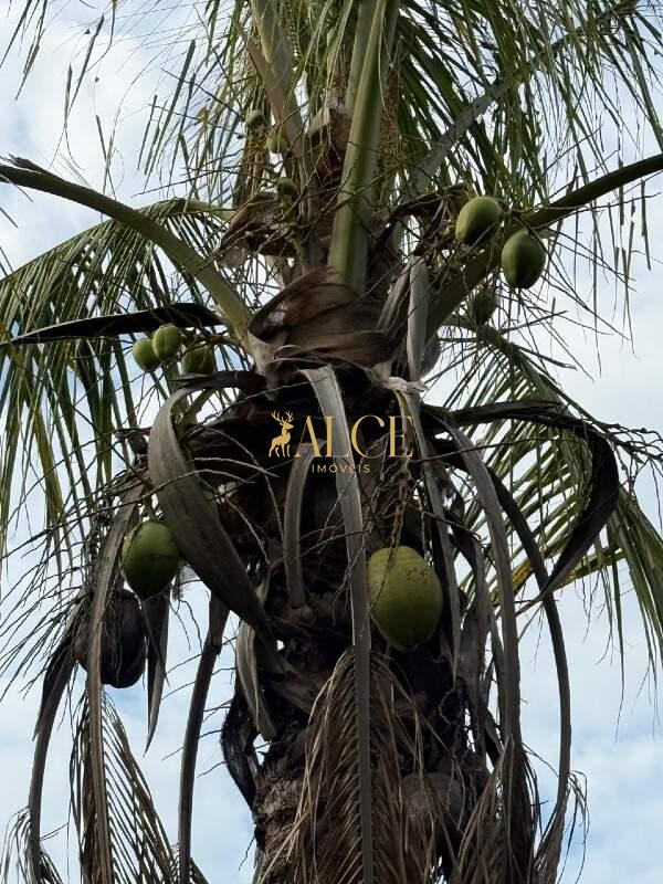 Terreno à venda Terras de Itaici: 