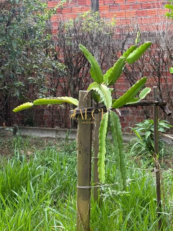 Terreno à venda Terras de Itaici: 