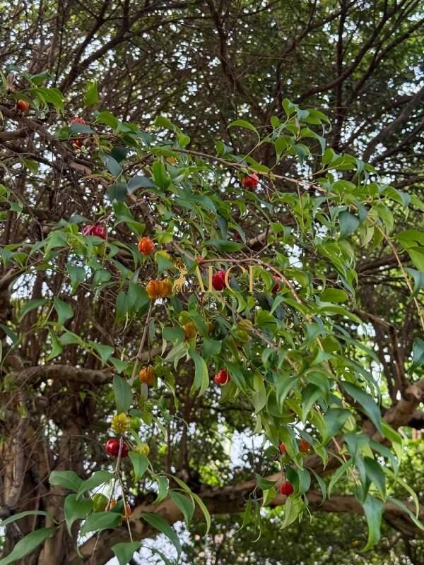 Terreno à venda Terras de Itaici: 