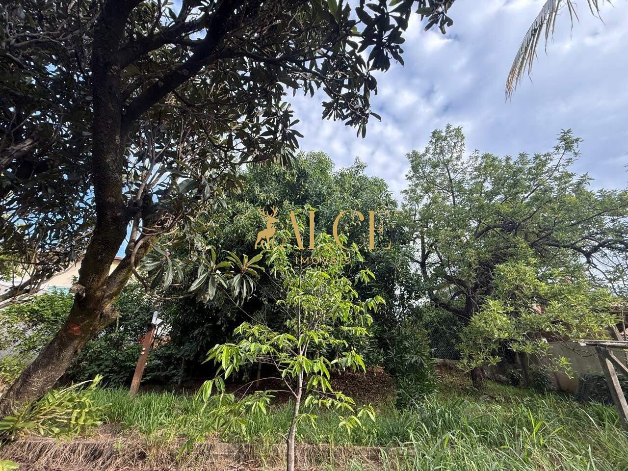 Terreno à venda Terras de Itaici: 