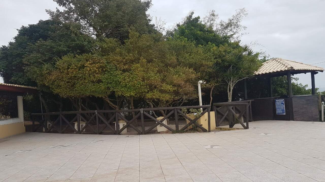 Apartamento para aluguel no Canasvieiras: 