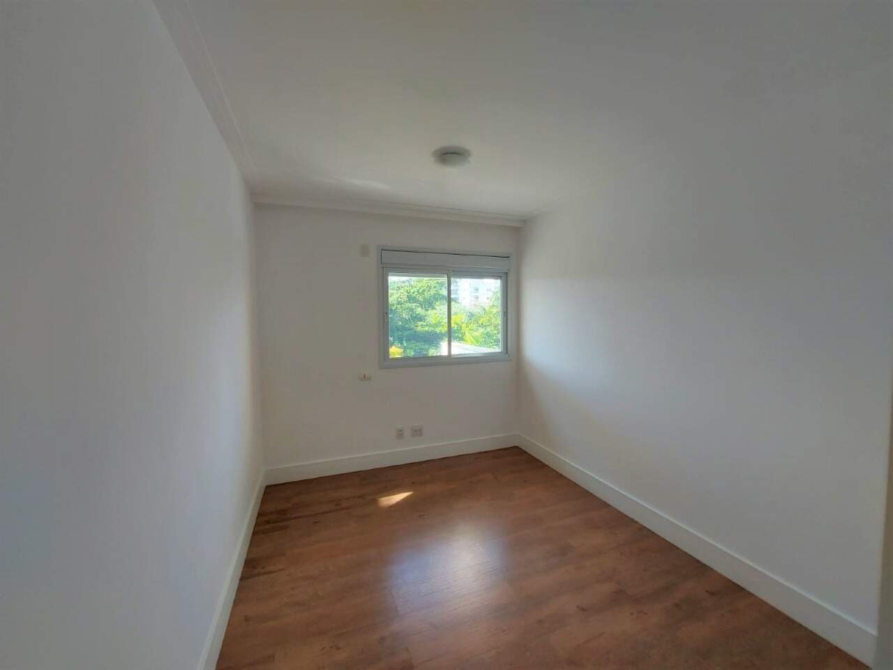 Apartamento para aluguel no Agronomica: 